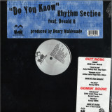 Rhythm Section Featuring Donald O - Do You Know