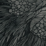 Calibre - Overflow 5x12"