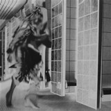 FEMME - RUDERAL EXOTIQUE
