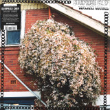 Surprise Chef - Daylight Savings LP