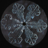 Various - Resilient V.A.