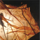 Interstellar Funk - Into The Echo LP 2x12"