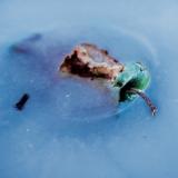 UP TO 23 - AN APPLE A DAY YOU DIE ANYWAY (SPS26113)