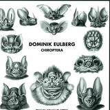 Dominik Eulberg - Chiroptera