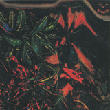 Jay Daniel - Karmatic Equations