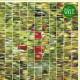 Dalhous - Will To Be Well