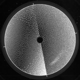 Sukaz - Make Me Forget