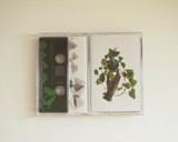 Valance Drakes - An Angel In Alliance With Falsehood