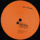 Dub Phizix Ft. Fox - Never Been