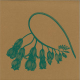 Viktor Apo - Regenerate EP