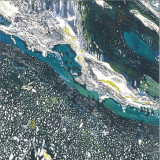 Pretty Sneaky - Koldd LP