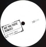 Josh Wink - Are You There, Ben Klock, Rod Remix