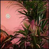 Beaty Heart - Mixed Blessings 12"