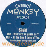 Shahi - What Are We Thinking Of