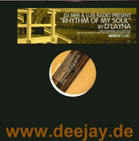 Dj Mfr + Luis Radio - Rhythm Of Soul