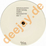 Martin Solveig - Destiny