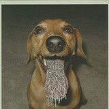 Lee Burridge & Steve Porter - Raw Dog