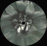 Various - Blueten 006