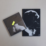 Cosimo Damiano - Consciousness