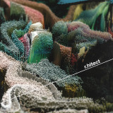 r.hitect - landscapes ep