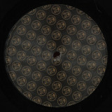 MNT - We Are The Newspecies