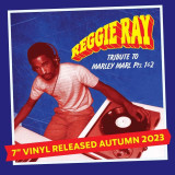 REGGIE RAY a.k.a. DJ REGAL - Tribute To Marley Marl Pts 1 & 2