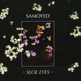 Samoyed - Sloe Eyes