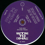 Wrd - Sounds In The Grass