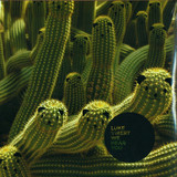 Luke Vibert - We Hear You 2x12"