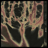 Somali Extract - Pareidolia