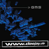 Gms - No Rules 2x12"
