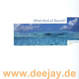 Chris Mccormack - What Kind Of Sound