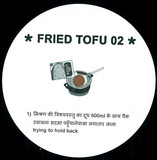 Fried Tofu 02 - Fried Tofu 02