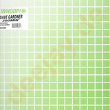 Dave Gardner - Zoomin