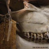 Some Became Hollow Tubes - Keep It In The Ground