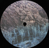 Pablo Bolivar - Evolve