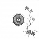 BORDER ONE - HOST EP