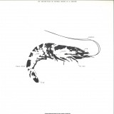 Susuma Yokota - Space Teddy Ep 2