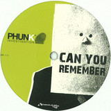 Phunk Investigation - Can You Remember