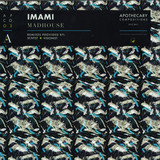 Imami - Madhouse