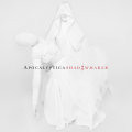 Apocalyptica - Shadowmaker (2lp/180g/gatefold+cd)