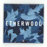 Etherwood - Blue Leaves