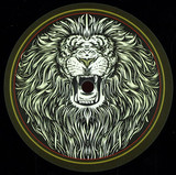 Adam Prescott Meets J.robinson - Whodemsound Ft Michael Prophet (180g 12")