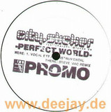 City Slicker - Perfect World