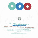 Guy Williams & James Fitch - Whats Up Earthlets