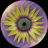 Clarence Wu - Facing The Sea