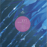DL/MS / K1 / The Exaltics / Privacy - Trust XY.1