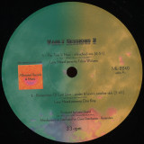 Larry Heard - Vault Sessions 2