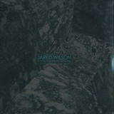 Jared Wilson - A Little Moonlight Dancing