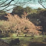 Felipe Gordon - Tezeta LP 2x12"